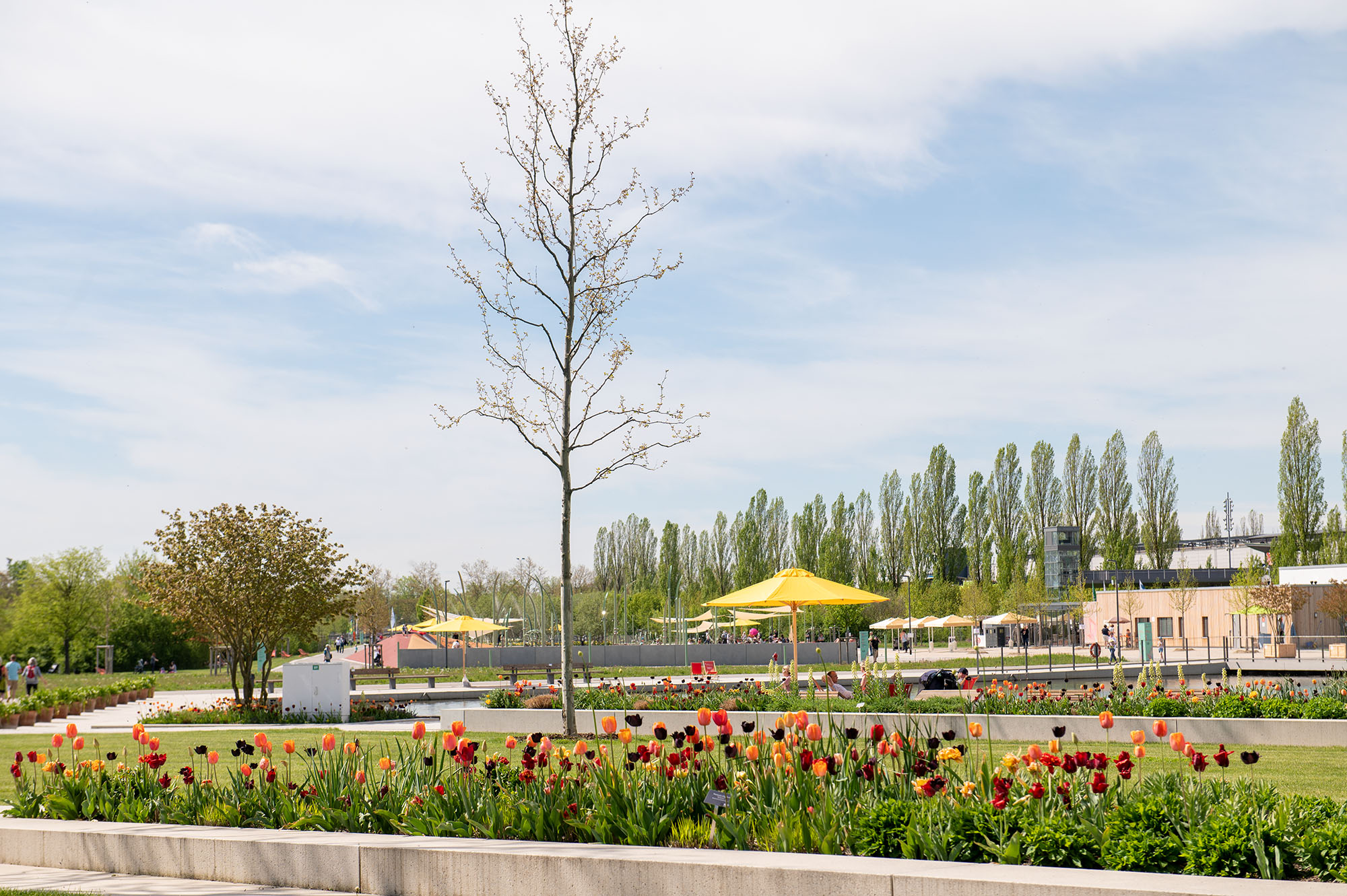 Landesgartenschau in Ingolstadt Samerberger Nachrichten