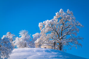 Ein Wintermärchen auf dem Samerberg: Magische Momente in verschneiter Idylle