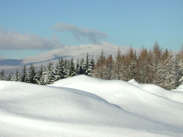 Mit-der-Rangerin-auf-den-h-chsten-Gipfel-des-Nationalparks-Bayerischer-Wald