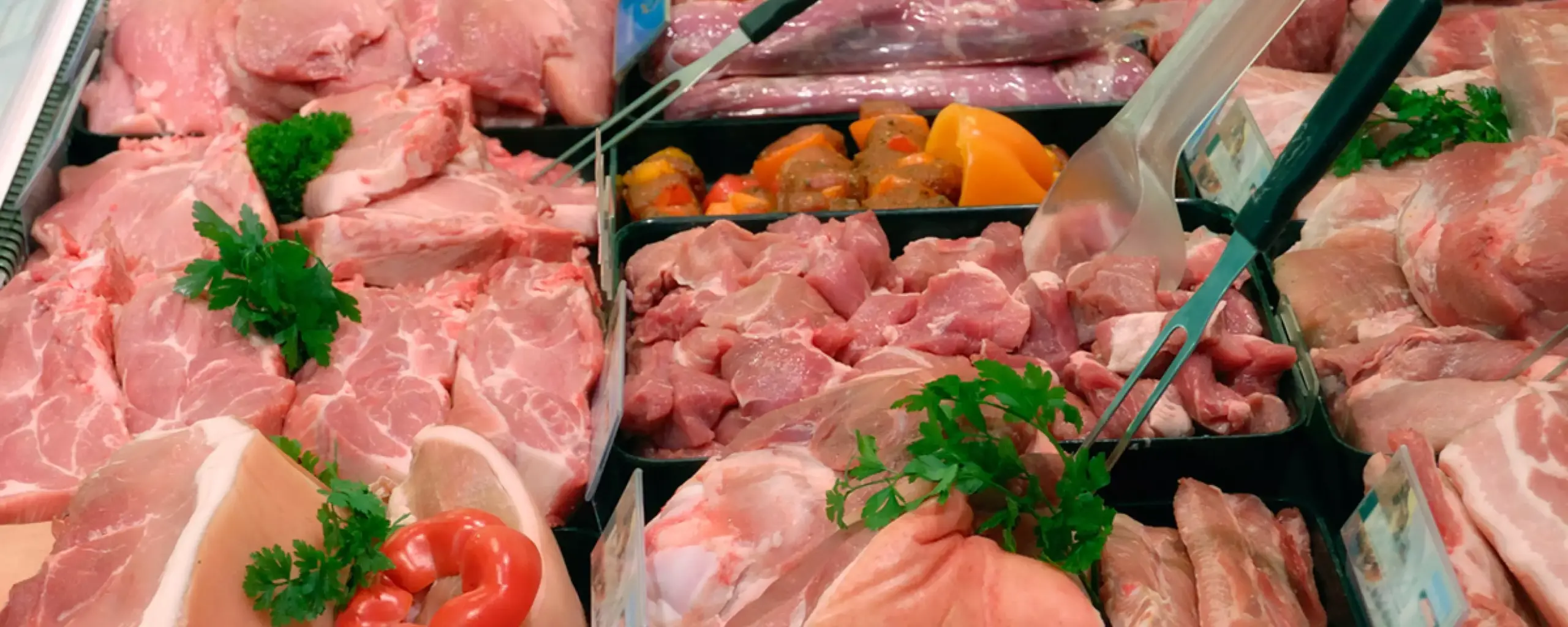 BBV-Appell-Schweinepreise-im-freien-Fall