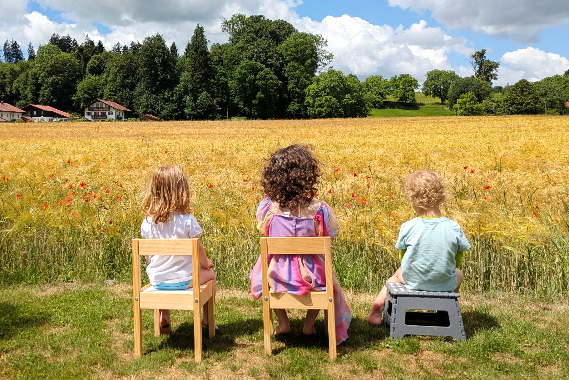 Malerischer-Blick-in-die-Sommer-Zukunft