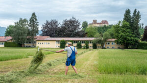 Wetzt die Sensen: Deutsche Meisterschaft im Handmähen in Neubeuern