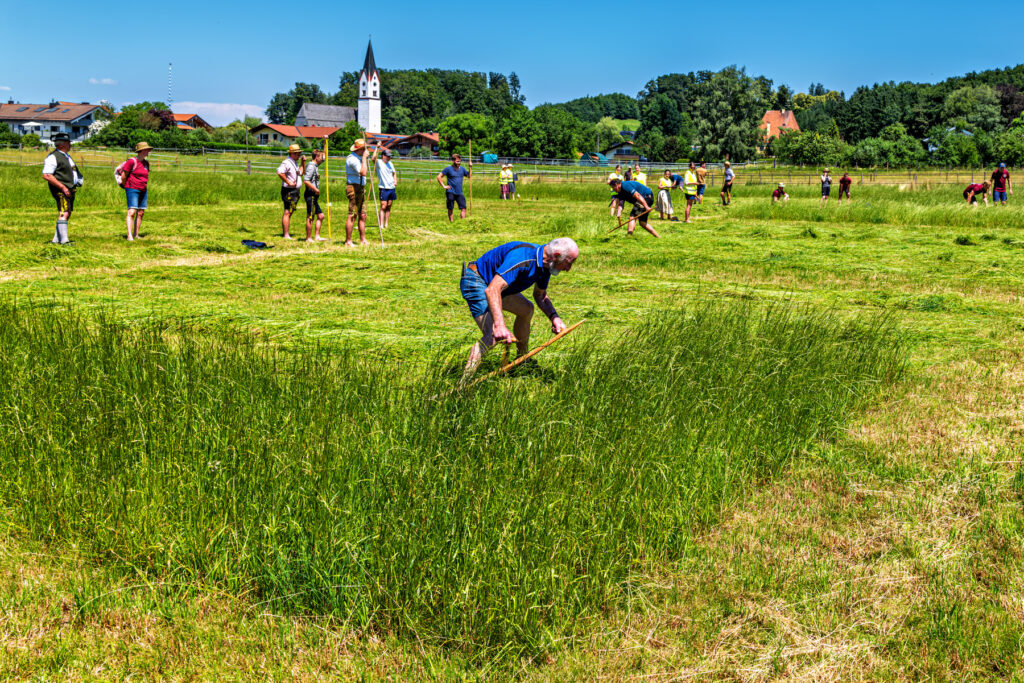 Deutsche Meisterschaft im Handmähen in Neubeuern