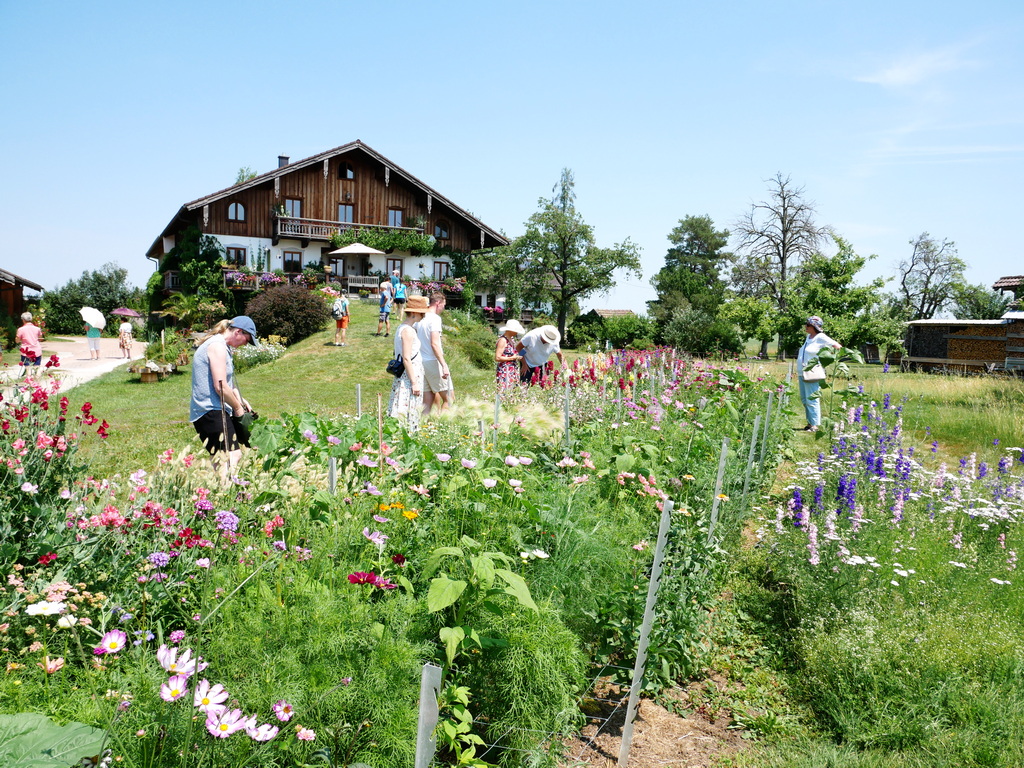 RO-Tag-der-offenen-Gartent-r-