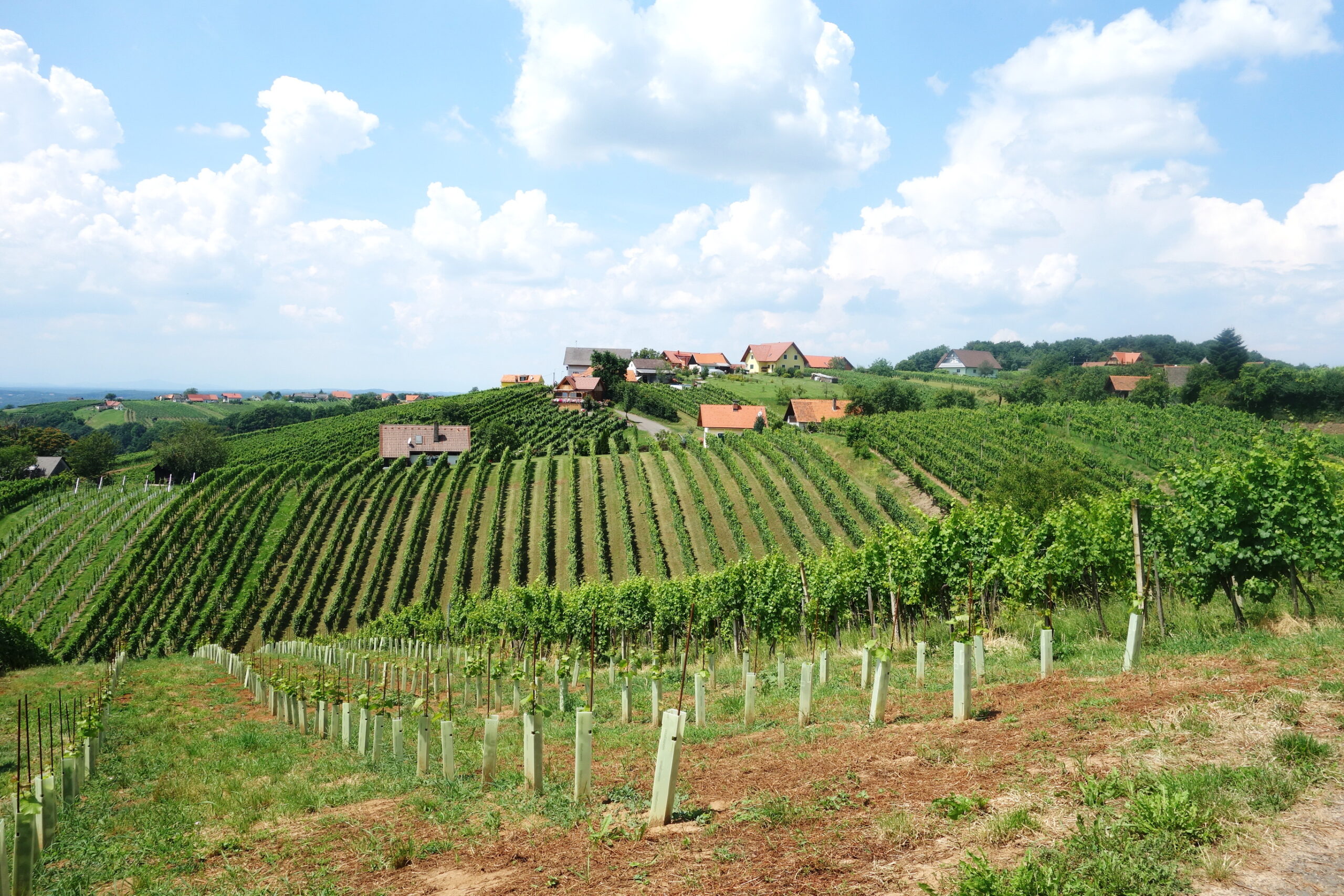 Busreise-in-die-S-doststeiermark