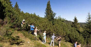 Freiwillige entfernen Gehölzaufwuchs auf der Reiteralpe.