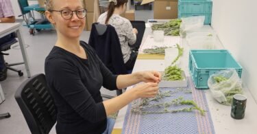 Annett Gruber vom Bezirk Oberbayern verpackt Tee in den Augustinum Werkstätten in Oberschleißheim.