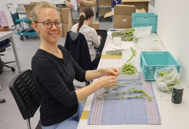 Annett Gruber vom Bezirk Oberbayern verpackt Tee in den Augustinum Werkstätten in Oberschleißheim.