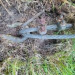 Verankerungen im Boden: Stangen und Klemmen sichern die Netze