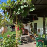 Veranda mit Rankpflanzen und Blick in den Garten