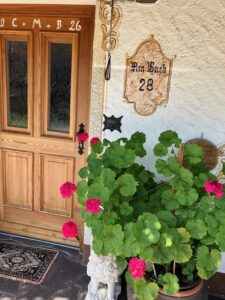 Hauseingang mit Tür und Blumenkübeln