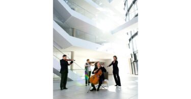 Das Henschel Quartett während eines Auftritts.