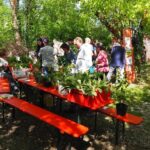 Besucher beim Pflanzentauschmarkt an einem Tisch mit Pflanzen