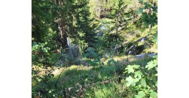 Lawinenschutz an der Weißwand schützt die B305 und den Bergmischwald