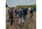 Landwirte informierten sich beim Feldtag des Amtes für Ernährung, Landwirtschaft und Forsten Rosenheim am 10. September auf den Demonstrationsflächen in Prutting.