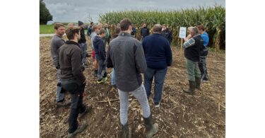 Landwirte informierten sich beim Feldtag des Amtes für Ernährung, Landwirtschaft und Forsten Rosenheim am 10. September auf den Demonstrationsflächen in Prutting.