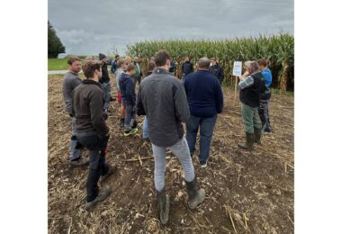 Landwirte informierten sich beim Feldtag des Amtes für Ernährung, Landwirtschaft und Forsten Rosenheim am 10. September auf den Demonstrationsflächen in Prutting.