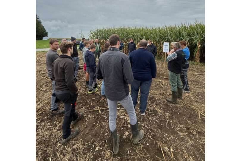 Landwirte informierten sich beim Feldtag des Amtes für Ernährung, Landwirtschaft und Forsten Rosenheim am 10. September auf den Demonstrationsflächen in Prutting.