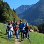 Lehramtsstudierende bei einer Bergwanderung in Sachrang