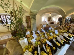 Sortenausstellung des Biodiversitätsprojekts „Apfel‑Birne‑Berge“ im Kuhstall des Vierseithofs.