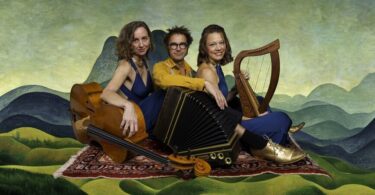 Das Trio Gruberich: Lausch | Groove | String.