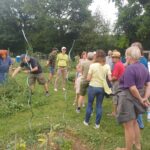 Besucherinnen und Besucher beim Sommerfest im Gemeinschaftsgarten Übersee.