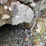 Beschädigtes Mauerwerk am Bachdurchlass bei Bad Feilnbach.