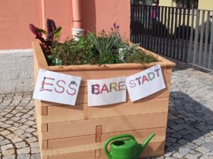 Das Rolli-Hochbeet am Bürger-Bahnhof ist mit Kräutern bepflanzt.