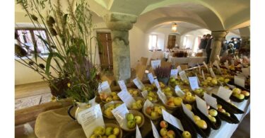Sortenausstellung des Biodiversitätsprojekts „Apfel‑Birne‑Berge“ im Kuhstall des Vierseithofs.