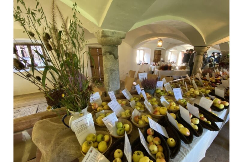 Sortenausstellung des Biodiversitätsprojekts „Apfel‑Birne‑Berge“ im Kuhstall des Vierseithofs.