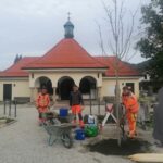 Mitarbeiter des gemeindlichen Bauhofs pflanzen einen Baum auf dem Aschauer Friedhof.