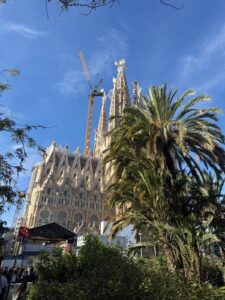 Baustellenkran neben der Basilika, Blick aus einem Parkbereich.