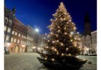 Weihnachtlich beleuchteter Christbaum am Stadtplatz