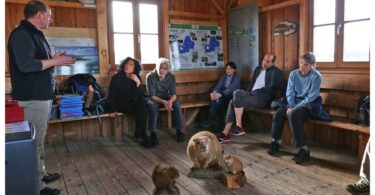 Naturführer erklärt in der Umwelthütte; Präparate von Bibern sind zu sehen