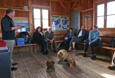 Naturführer erklärt in der Umwelthütte; Präparate von Bibern sind zu sehen