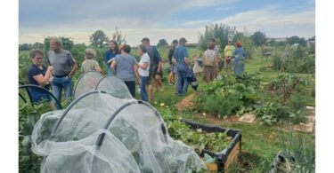 Die Errichtung eines Lehr- und Schaubienenhauses befürwortete der Gemeinderat einstimmig; Archivbild vom Sommerfest im Gemeinschaftsgarten Übersee.