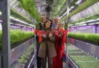 Eröffnung der LWG-Indoor-Farm: Personen schneiden ein rotes Band im Inneren einer vertikalen Indoor-Farm durch