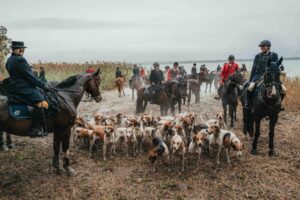 Reiter und Meute am Ufer des Chiemsees.