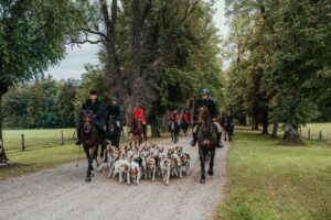 Reiter und Meute auf dem Alleeweg im Park.