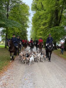 Reiter führen die Meute durch die Allee.