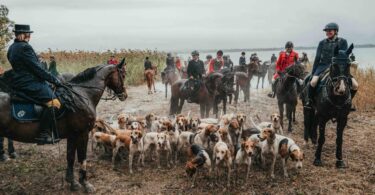 Reiter und Meute am Ufer des Chiemsees.