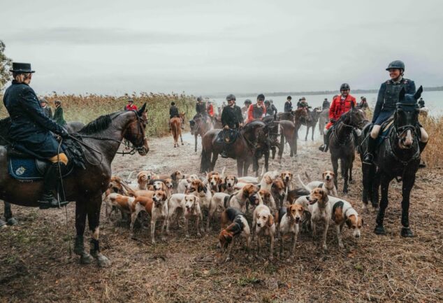 Reiter und Meute am Ufer des Chiemsees.