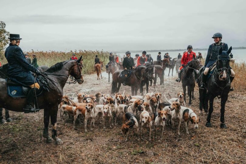 Reiter und Meute am Ufer des Chiemsees.