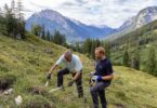 Freiwillige bei Pflegearbeiten auf der Mordaualm.