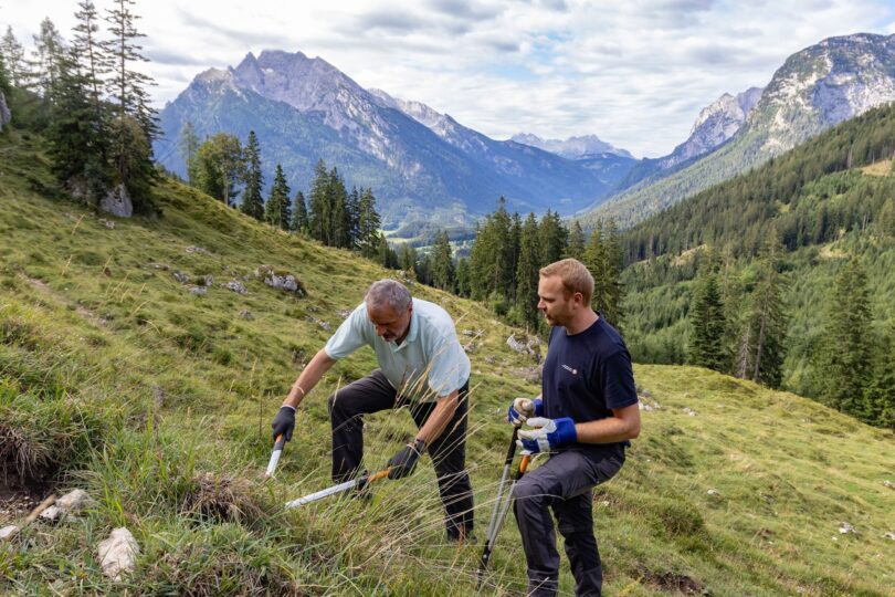 Freiwillige bei Pflegearbeiten auf der Mordaualm.